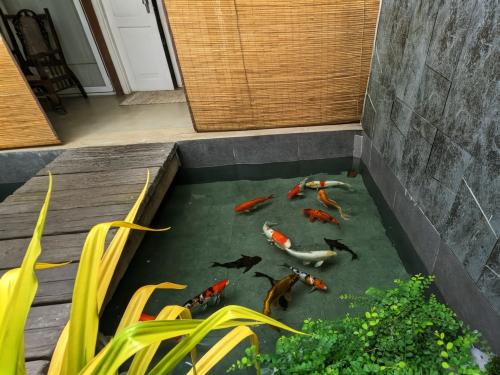 pxl_20250927_031009949